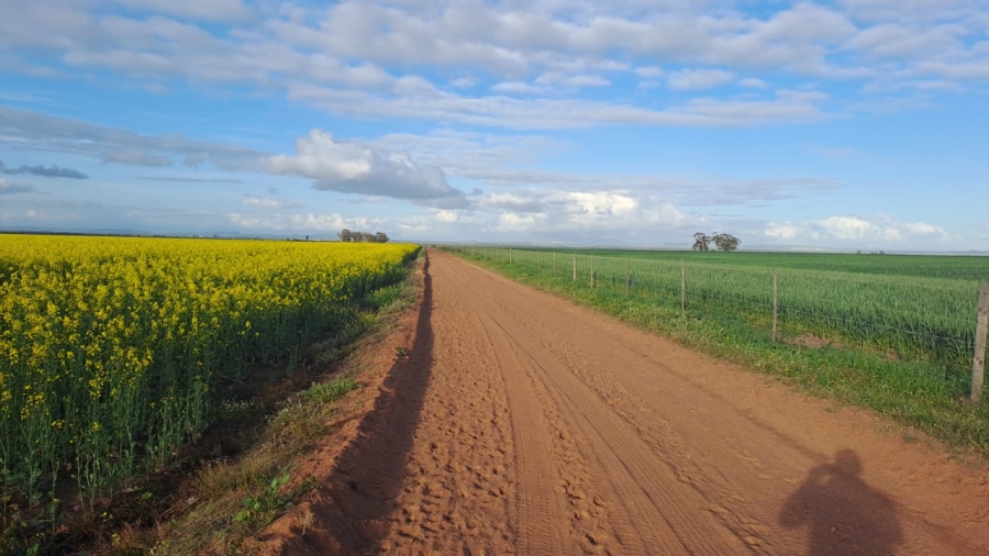 5 Bedroom Property for Sale in Darling Western Cape